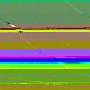 FKB_5698